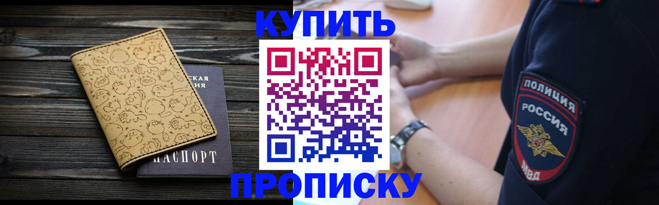 прописка гарантия в Александровске